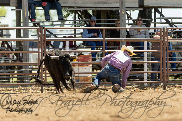 IMG_3355