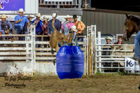 IMG_7228