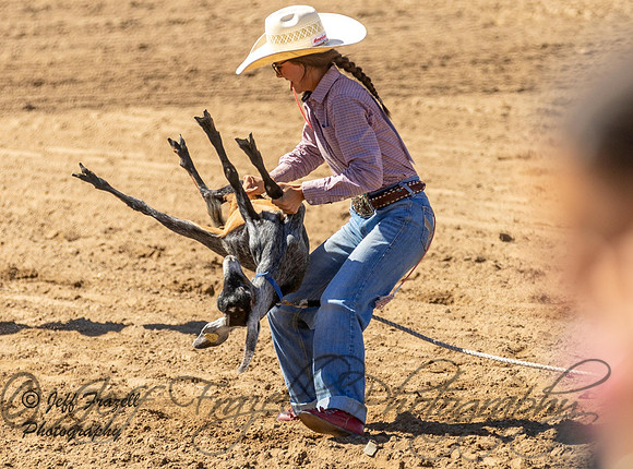 IMG_2571
