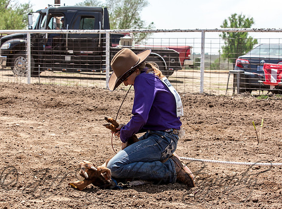 IMG_6648