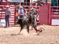 Jr High Bull Riding