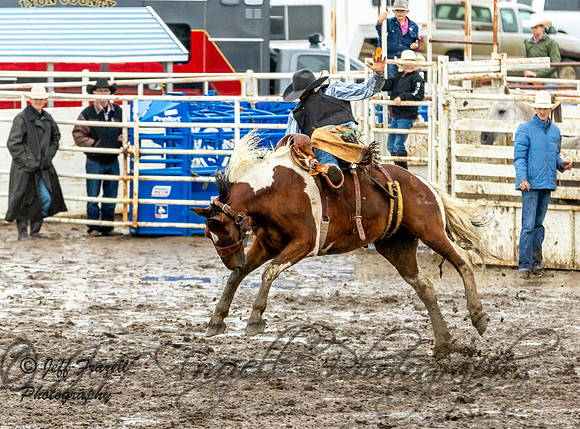IMG_0995