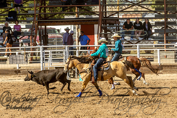 IMG_3317