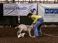 IMG_8532