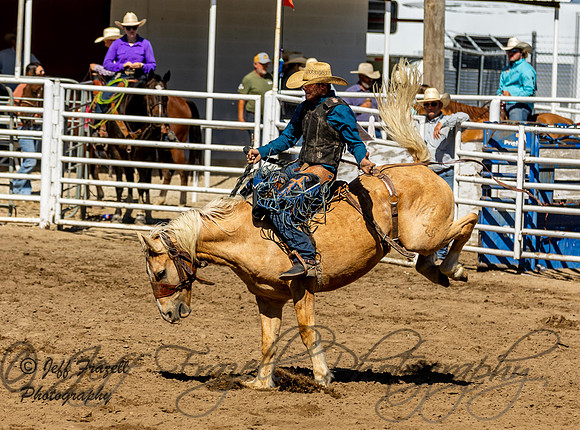 IMG_2386