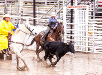 Steer Wrestling