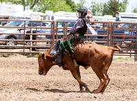 Jr High Bareback Lakin Saturday