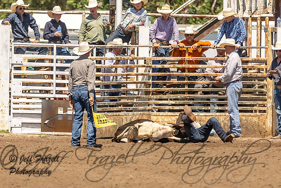 IMG_9538