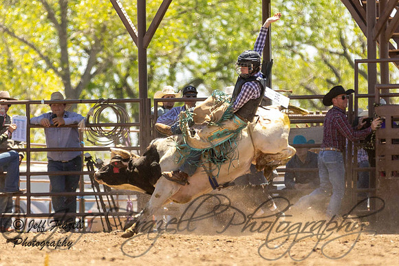 IMG_3991