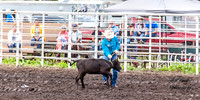 Calf Roping