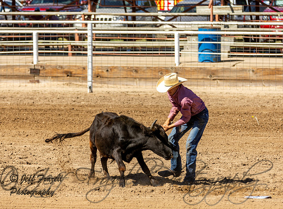 IMG_2228