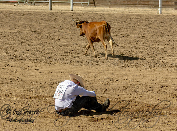 IMG_6521