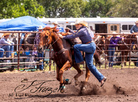 IMG_3006