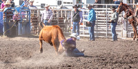 IMG_9293