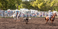 Team Roping
