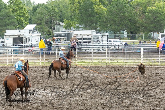 IMG_3915