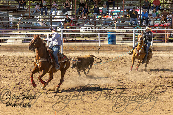 IMG_3236