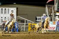 NSC Friday Team Roping Slack 2024