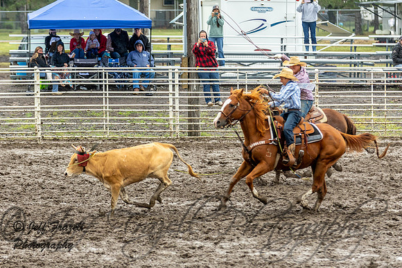 IMG_3884