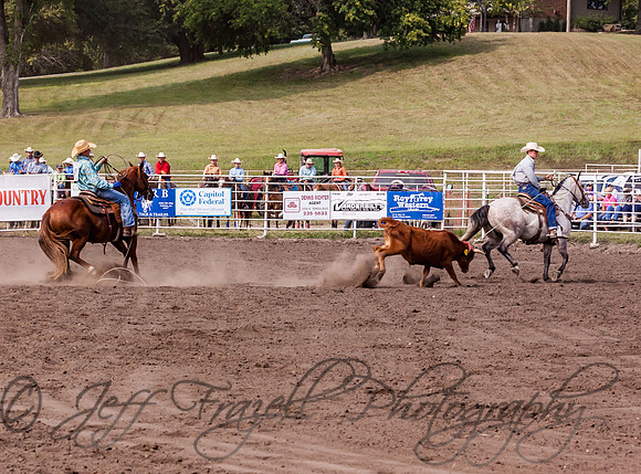 IMG_8954