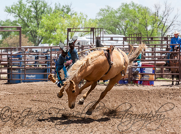 IMG_4640