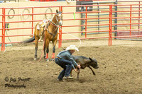 KHSRA Tie Down 1st Go Thursday State Finals 2025