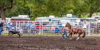 IMG_8798
