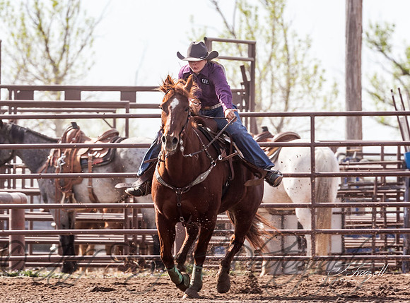IMG_9260