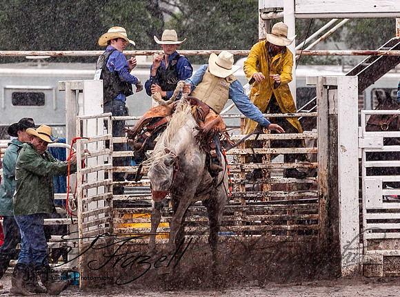 IMG_3820