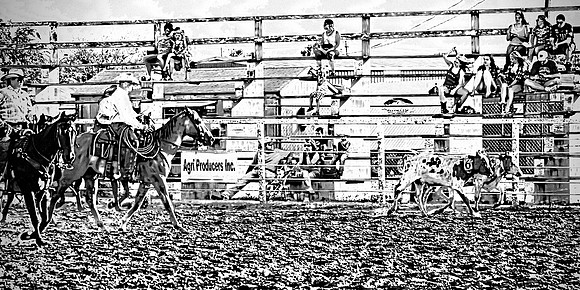 Rodeo Scene