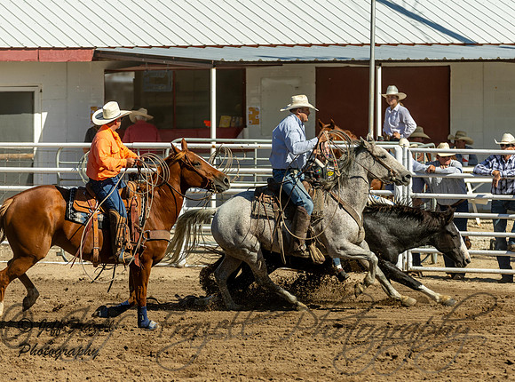 IMG_4305