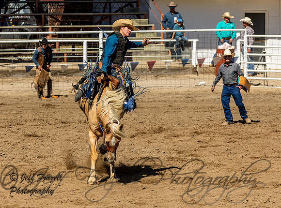 IMG_2393