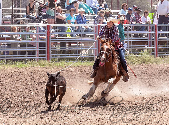 IMG_2536