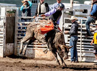 Bull Riding