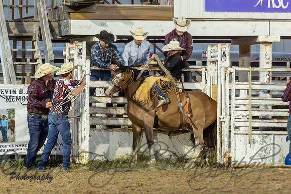 IMG_2235