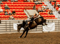 Short Go Bareback