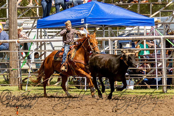 IMG_1479