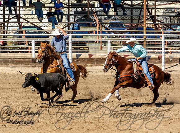 IMG_2331