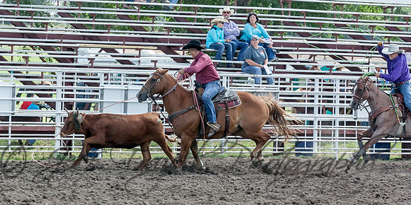 IMG_3531