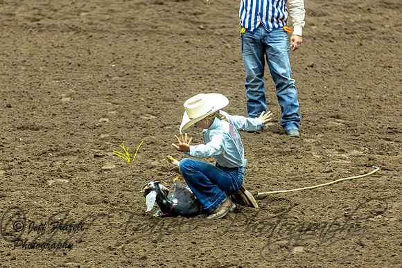 IMG_1539-Enhanced-NR