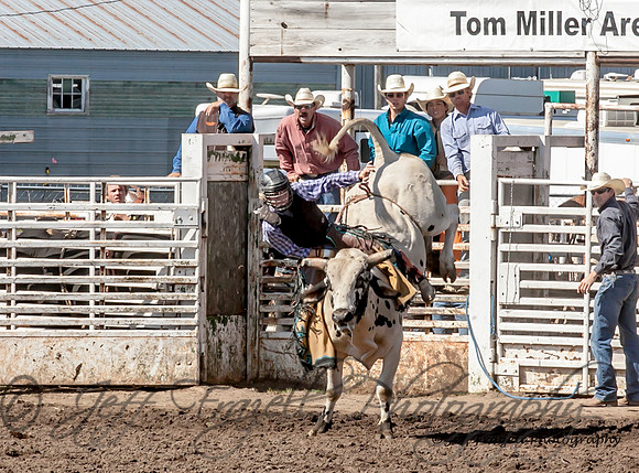 IMG_8921
