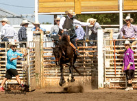 Bonus High School Saddle Bronc Photos By Grace Davis Canton Sunday 2024