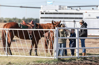 Bit and Spur Saddle Club Barrel Race