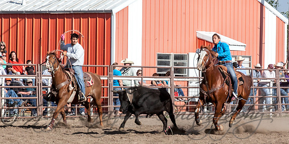 IMG_5560