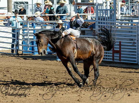 IMG_4222