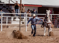 Tie Down Roping Hill City Saturday 17-18