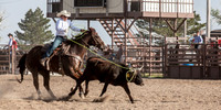 IMG_5529