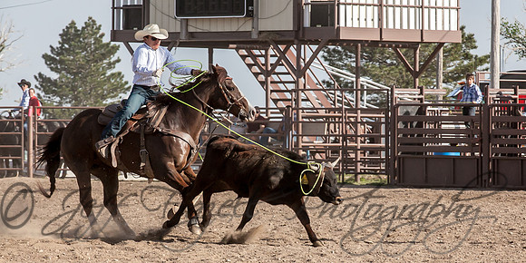 IMG_5529