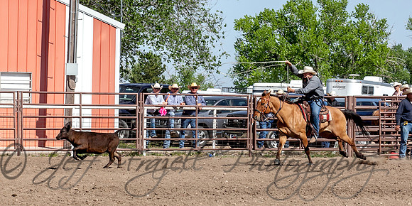 IMG_5370