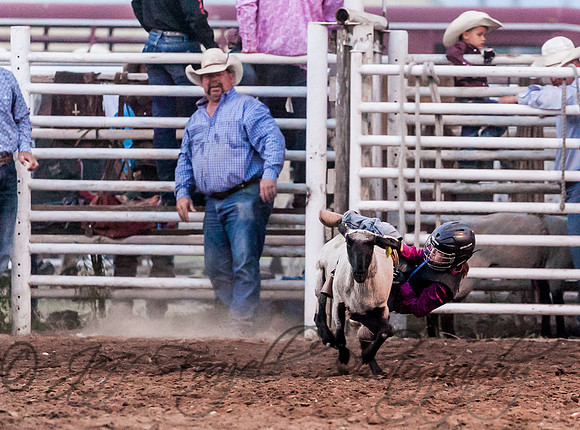 IMG_4198